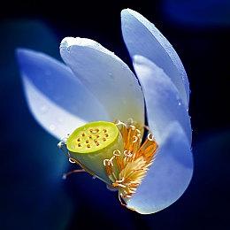 异世界弹珠RPG游戏《漂流佣兵》已于1月12日发布EA抢先体验！